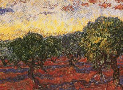 Vincent Van Gogh Olive Grove Norge oil painting art
